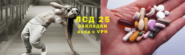 прущие грибы Волосово