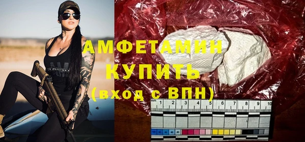 прущие грибы Волосово