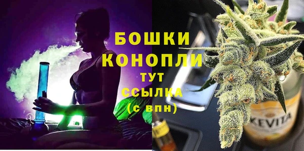 прущие грибы Волосово